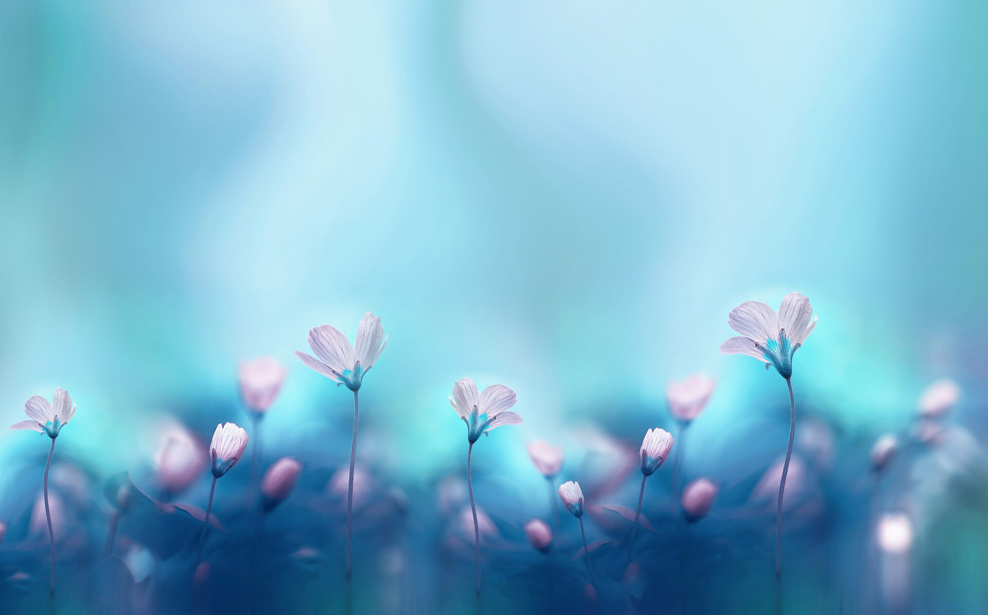 Client testimonials background